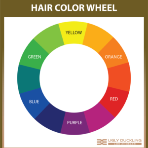 hair color wheel